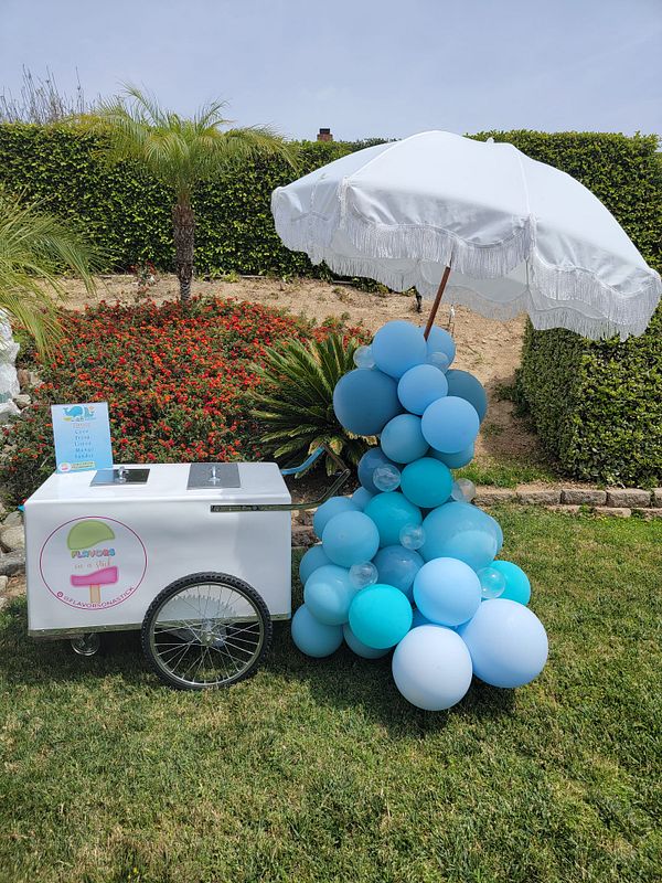 PALETA LITE 