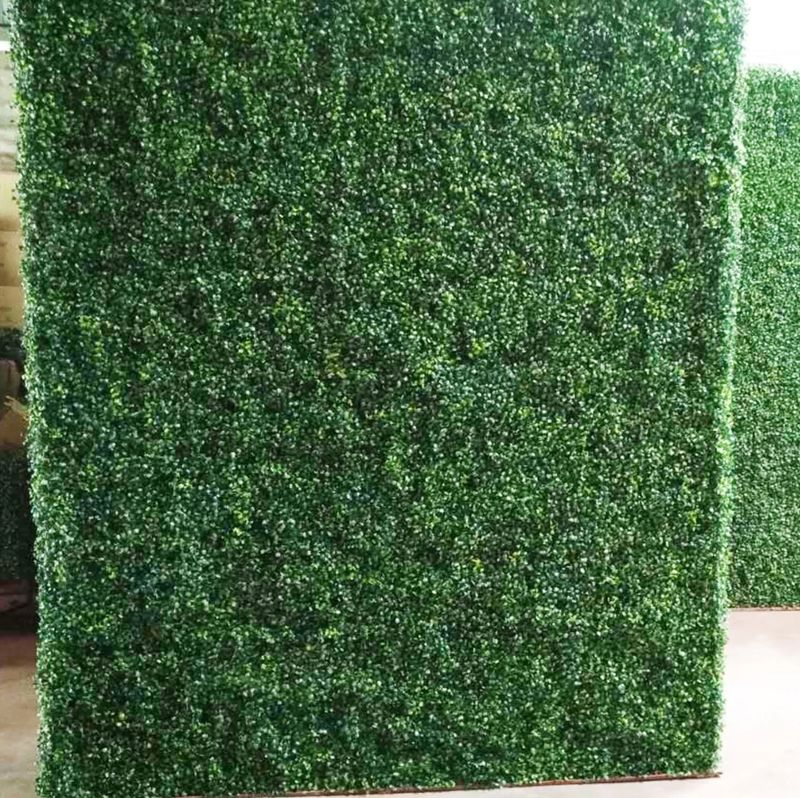 Boxwood Hedge Wall Backdrop