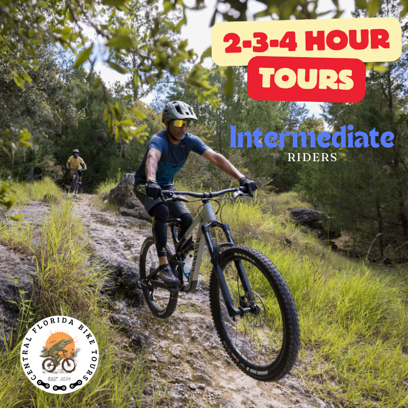( Intermediate ) Mountain Bike Tour