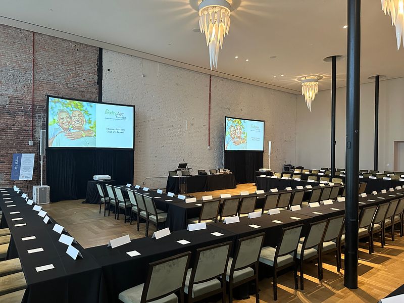 2 Projector Screen Package - Hotel Haya A/V