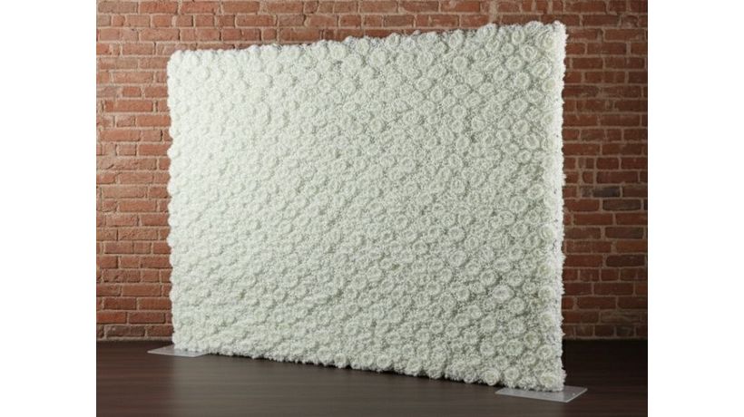 Ivory Rose Wall backdrop