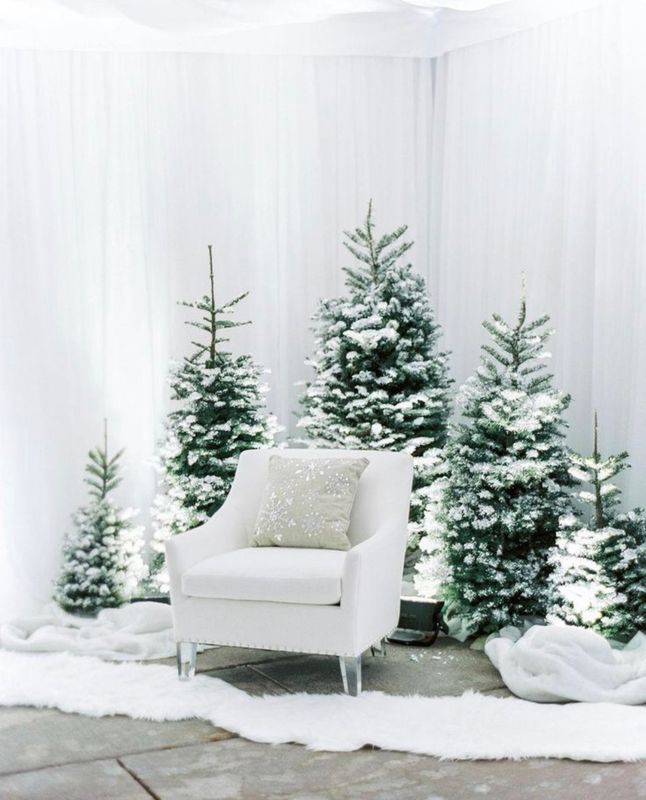 Holiday Portrait Session - Package #3