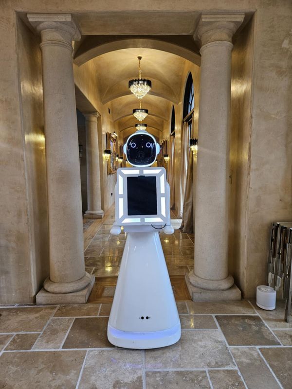Rosie – The AI Robot Experience