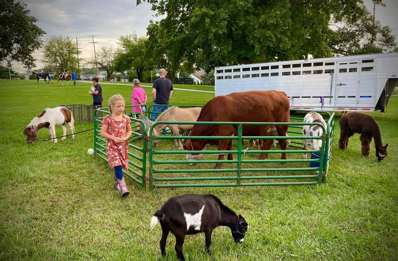 Super Fun PONY PARTY PETTING ZOO COMBO Party Package (MOBILE)