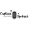 Capture Spokane Logo