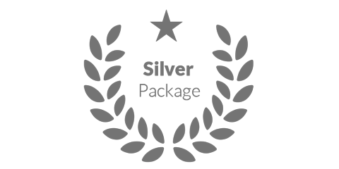 Parties Silver Package