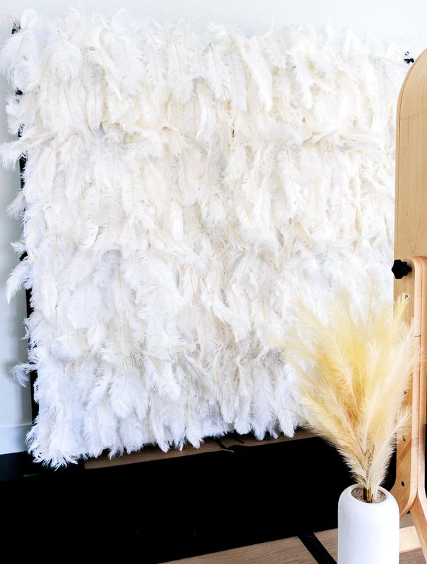 White Feather Wall