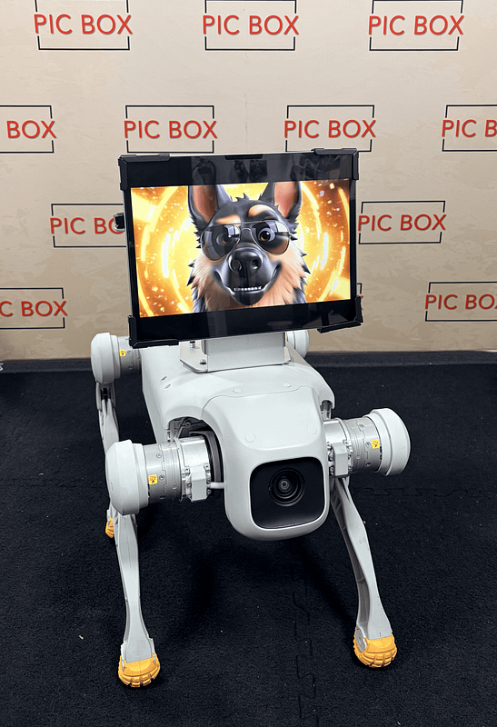 ROVER  Interactive Robot DOG Experience