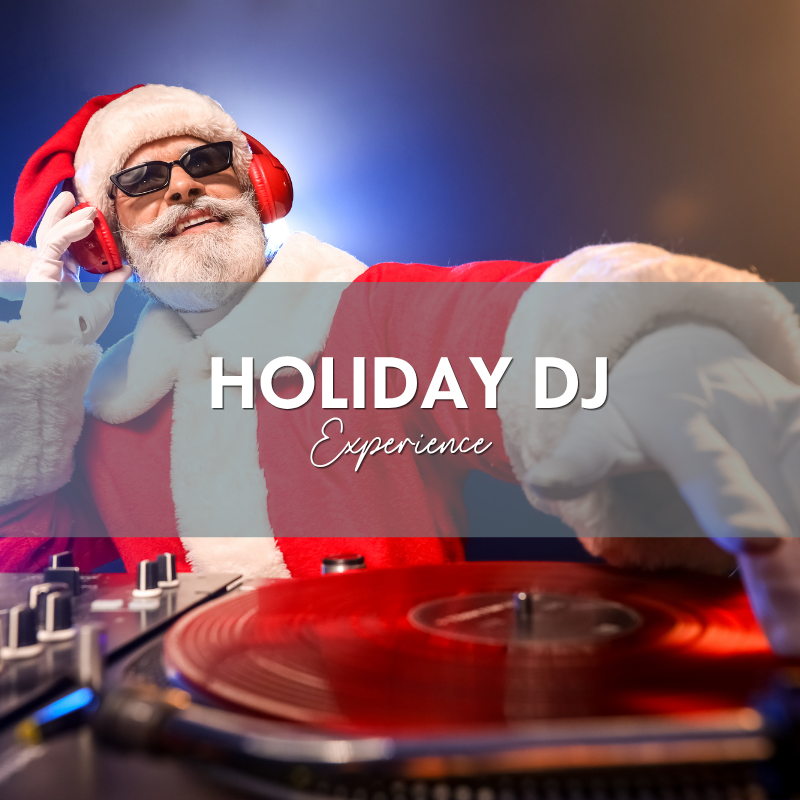 Holiday Party DJ Experience
