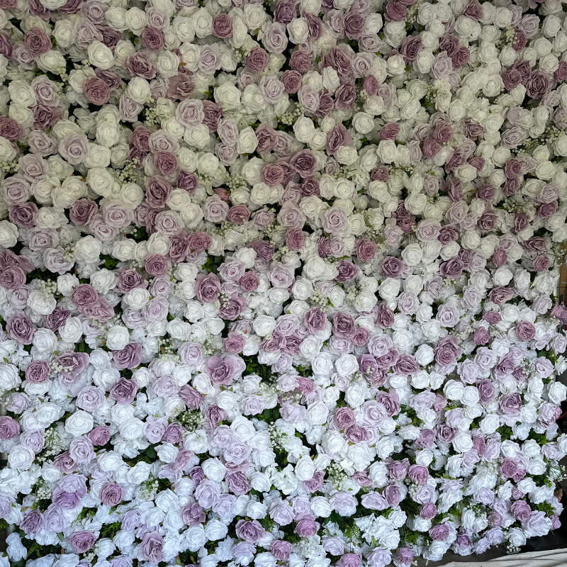 Lavender Rose