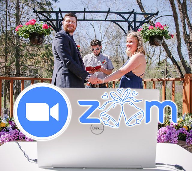 Zoom Live Stream - $300