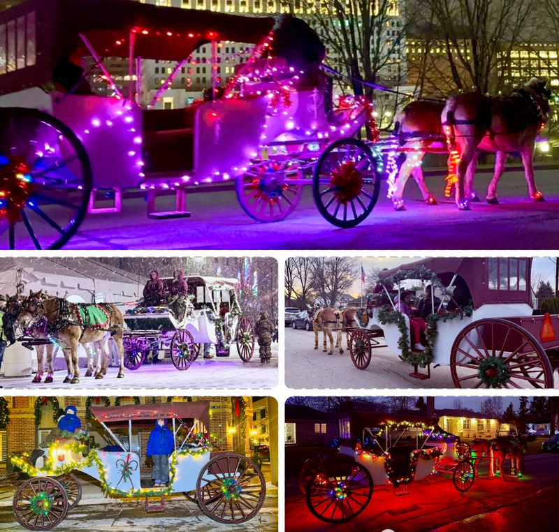 4-6 Passenger Vis-A-Vis Carriage