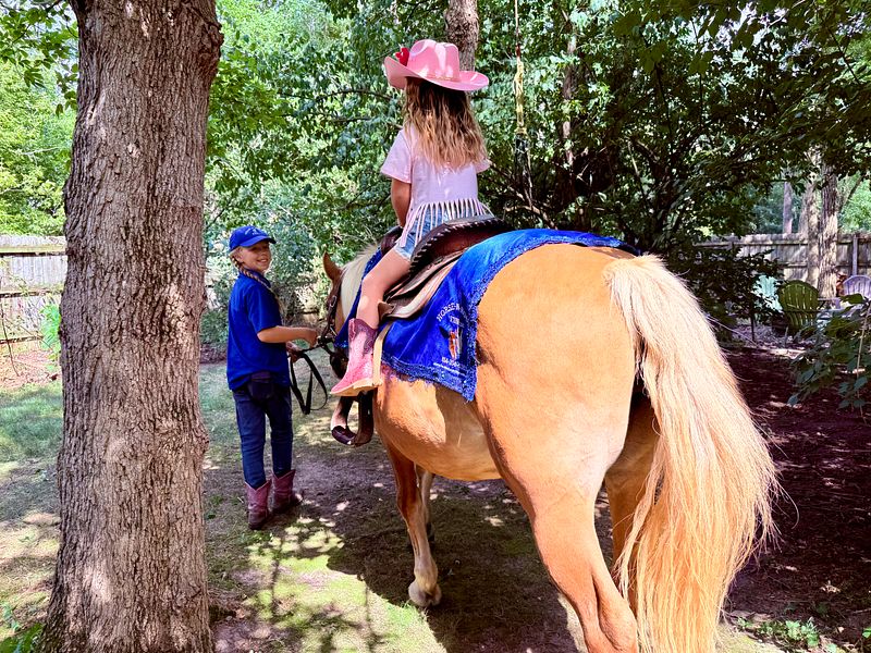 Fun PONY Party Package (MOBILE)