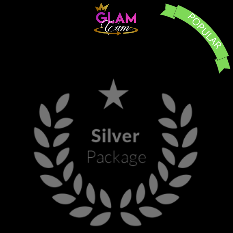 SILVER ***BOOK NOW 4 HOURS! (360) 1 - 6 Person