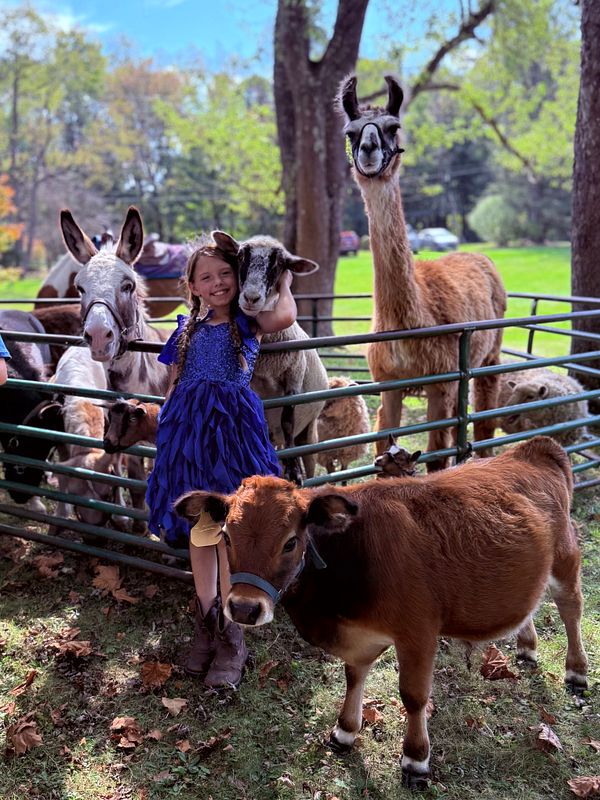 Fun PETTING ZOO Party Package (MOBILE)