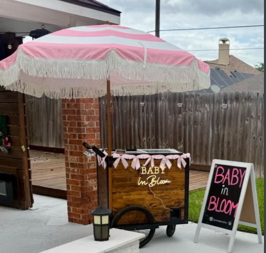 Full Size Paleta Cart Only 