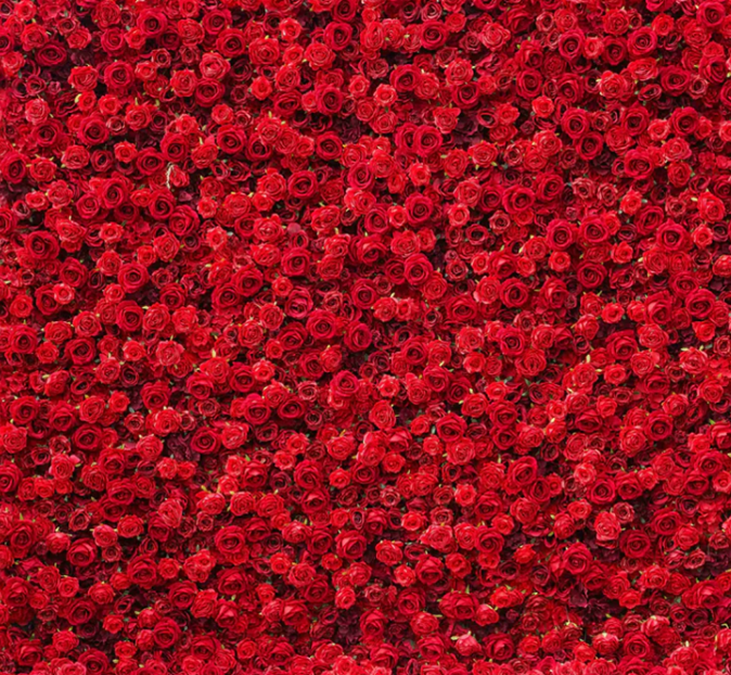 Rosaley - 3D Flower Wall - Red