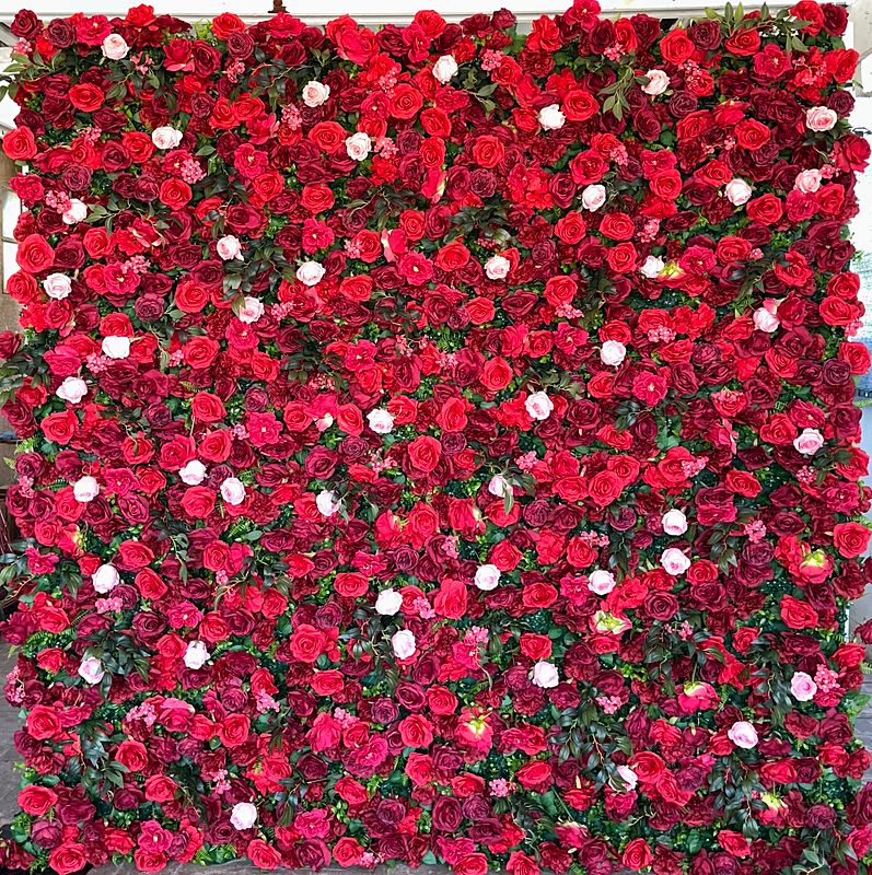 Red Flower Wall 