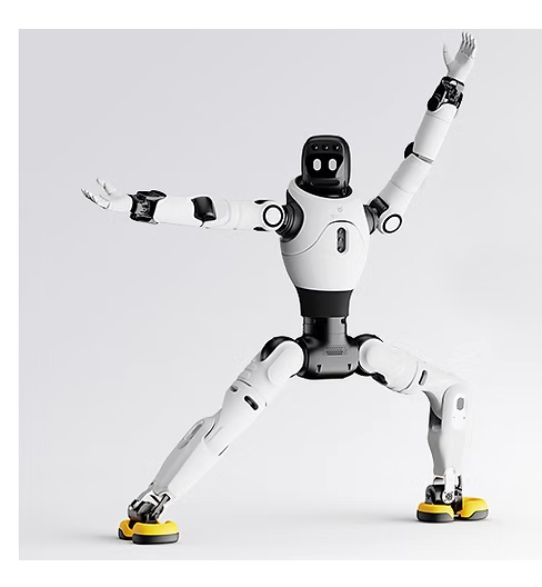 DMA Intelligent Event Robot Experience