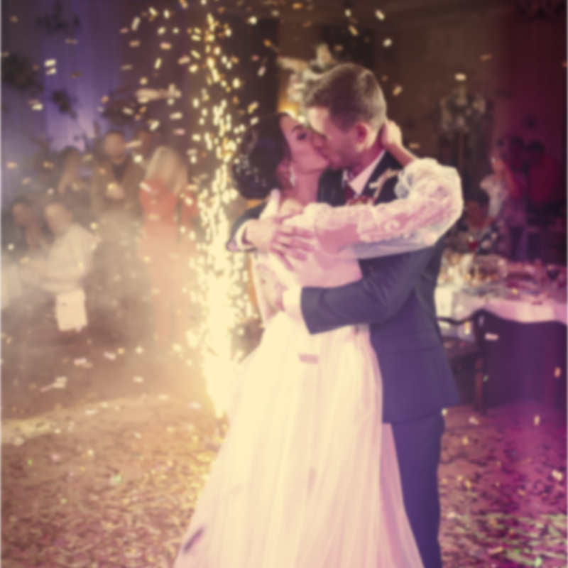 Just a Party (Reception DJ)