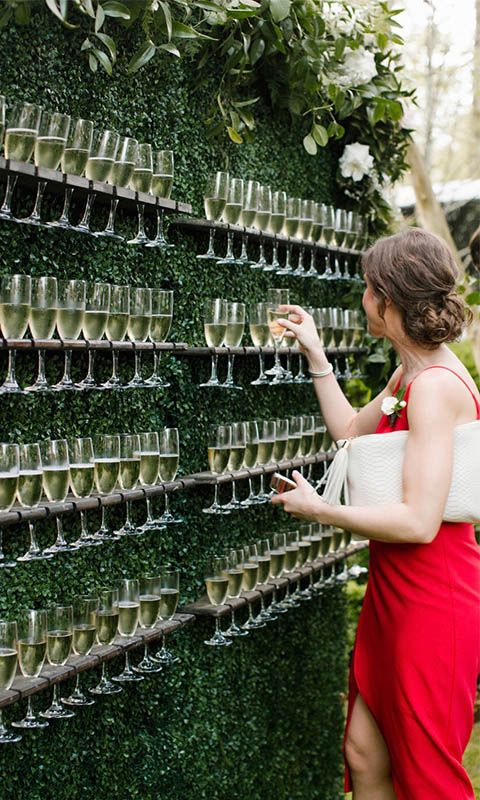 Hedge - Champagne Wall