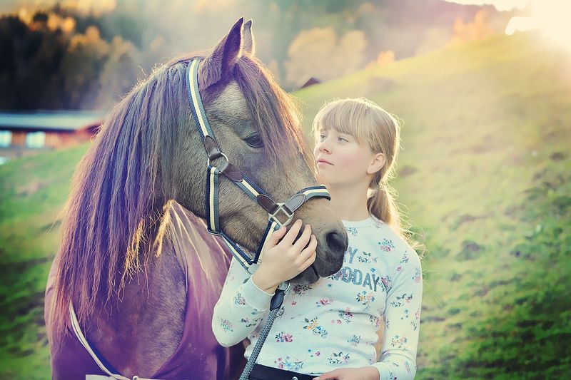 Pony Rides