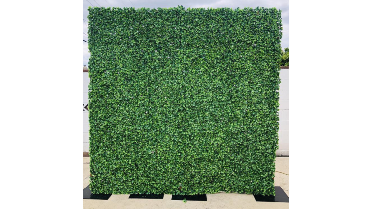 Greenery Wall