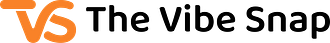 The Vibe Snap Logo