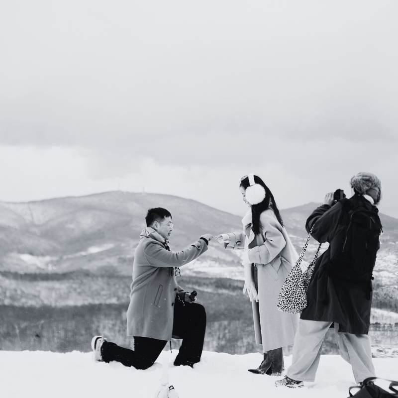 Proposals & Engagement