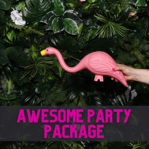 Awesome Party Package