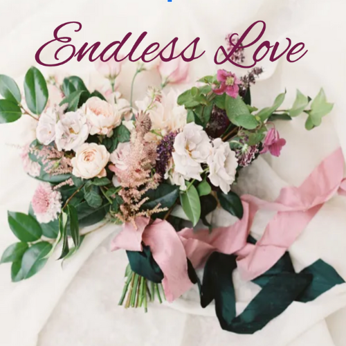Endless Love 
