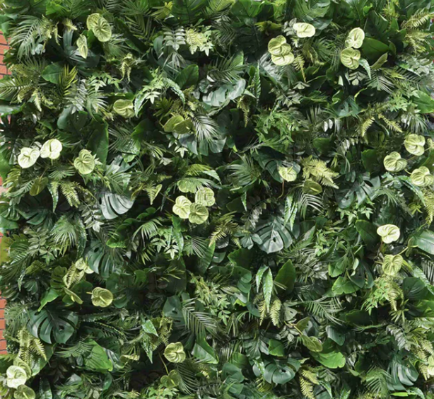 Colette - Tropical Greenery /Boxwood Hedge+