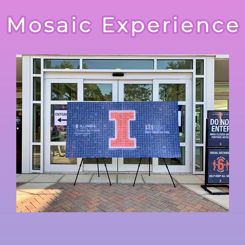 The Mosaic Experience 