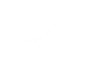 No Limit Events Logo