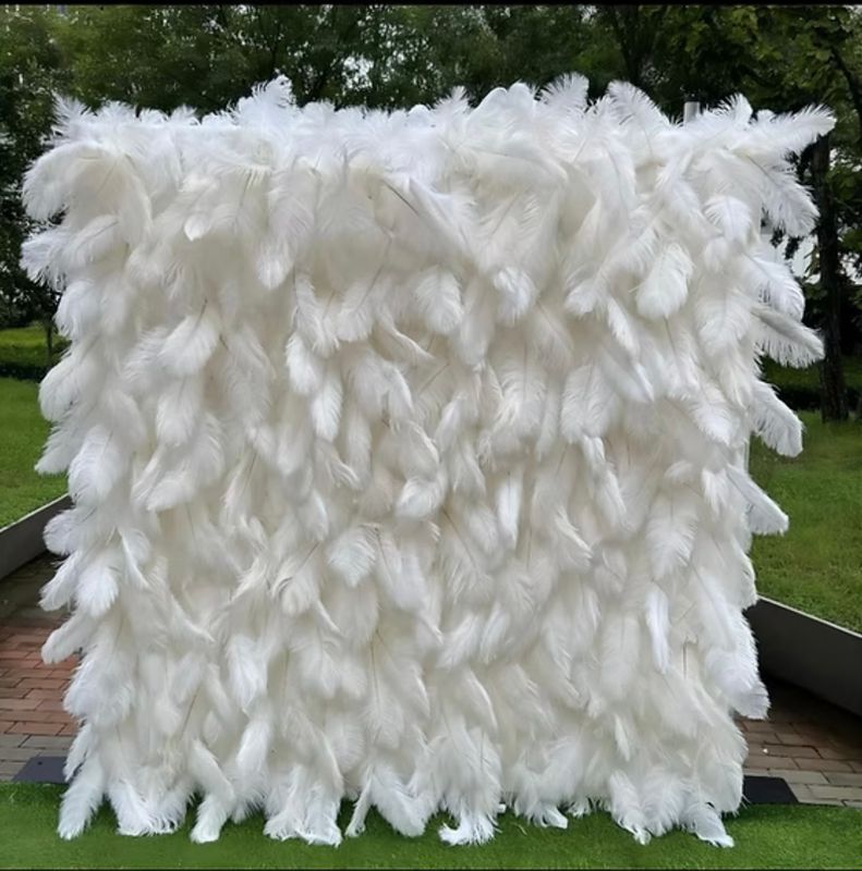 White Feather Wall $350