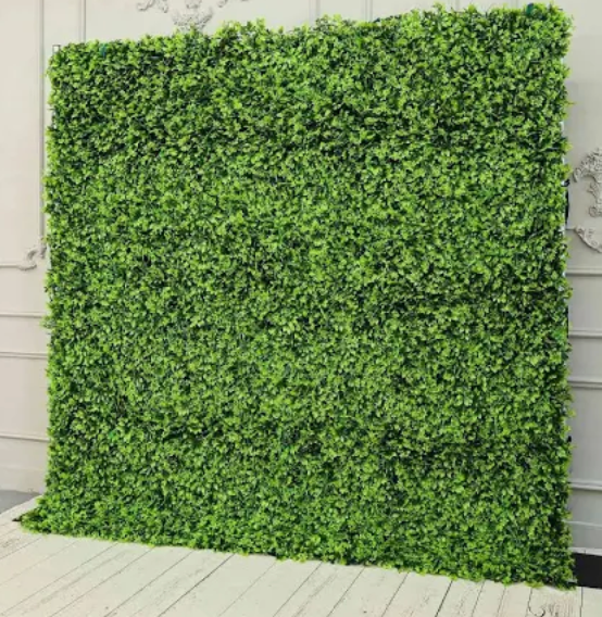 Green Grass Hedge Wall