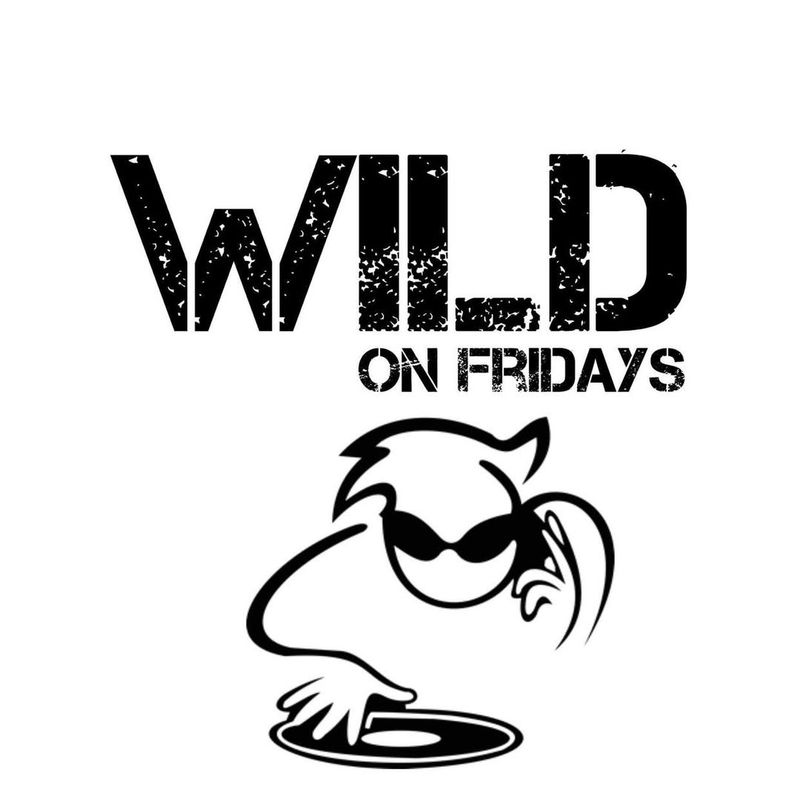 Wild on Fridays DJ Package