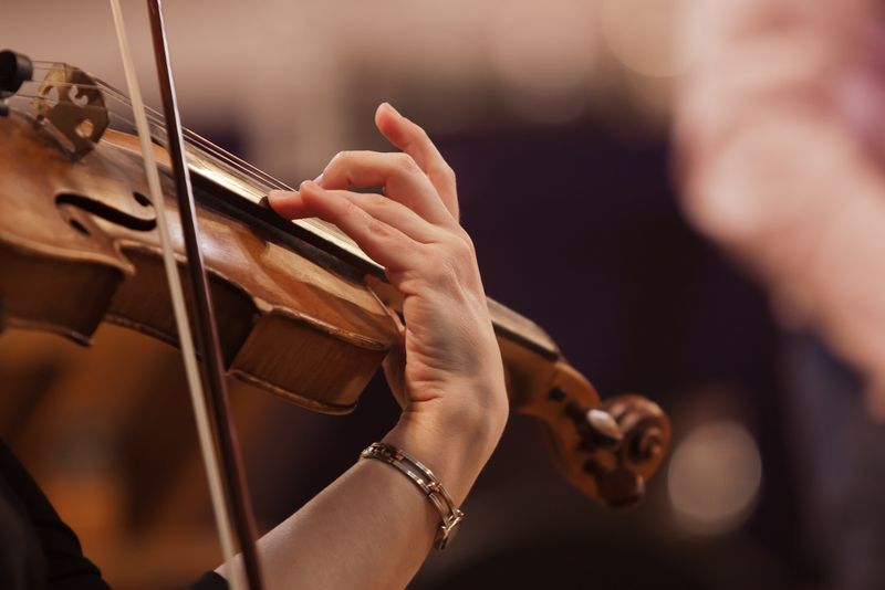 Violinist