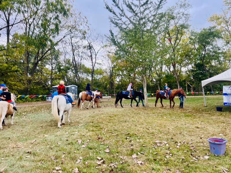 Pony Rides