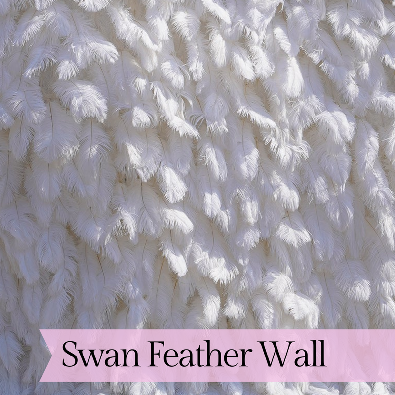 Swan Feather Wall Backdrop Rental