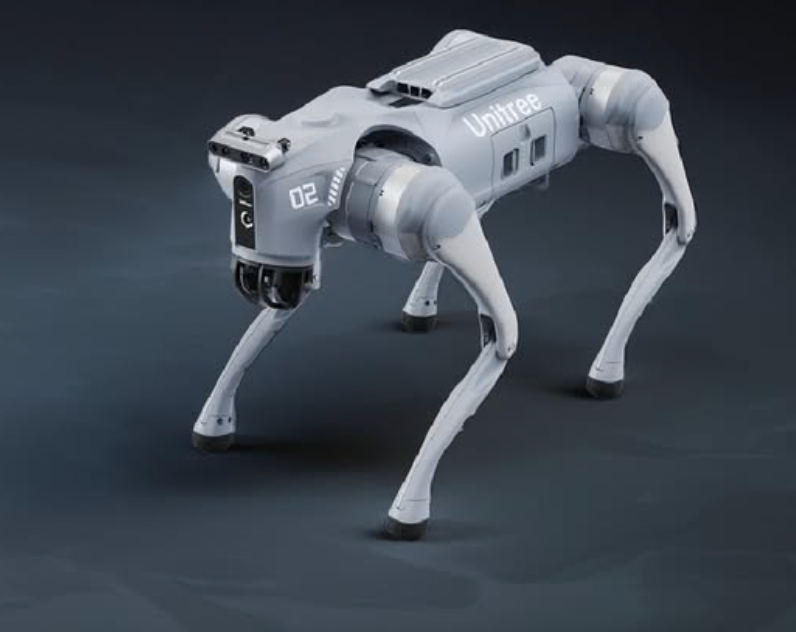 Rocky the Robot Dog