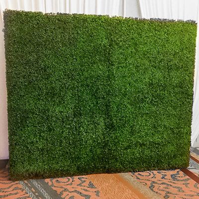 GREEN HEDGE WALL PANELS (H:8FT X W:4FT) - SINGLE SIDED