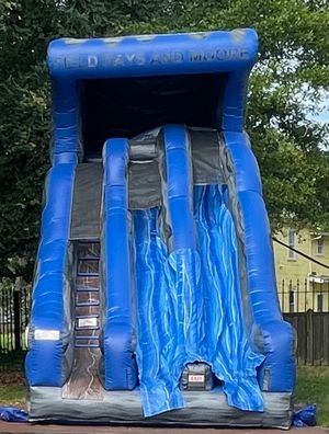 Big Blue Slide (Dual Lane Dry Slide)