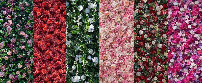 Flower Wall Rental