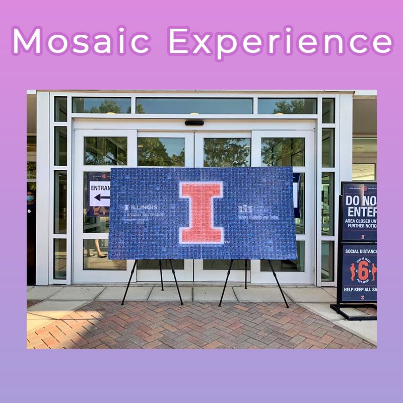 The Mosaic Experience