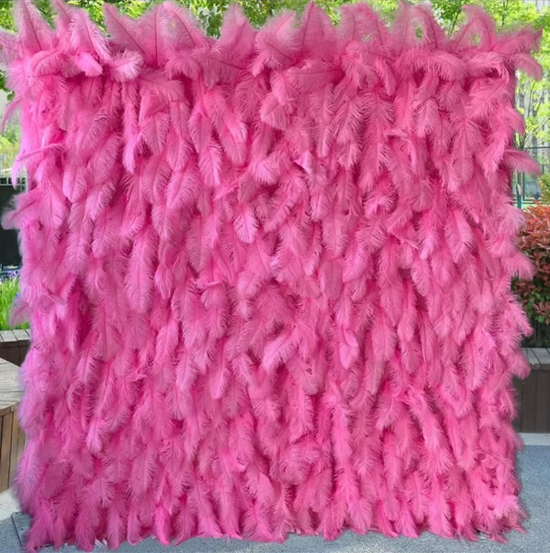 Stephanie -Pink Feather Wall $350