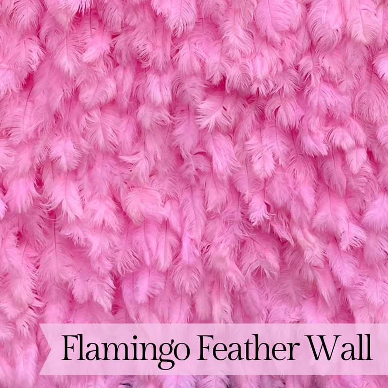 Flamingo Feather Wall Backdrop Rental