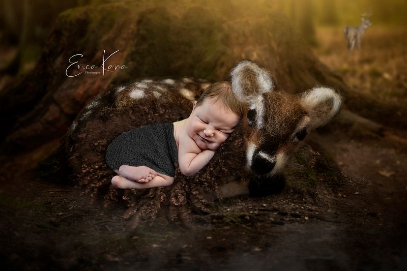 Newborn Session- Little Dreamer Package