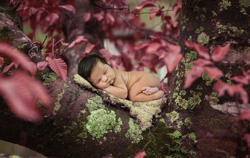 Newborn Session- Sweet Dreams Package