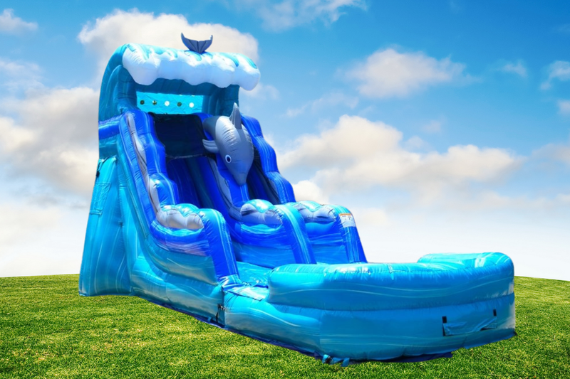 Dolphin 15 Foot Water Slide